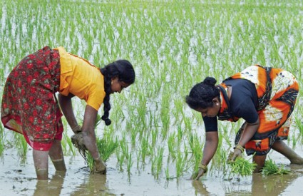 india-economy-mons.jpg