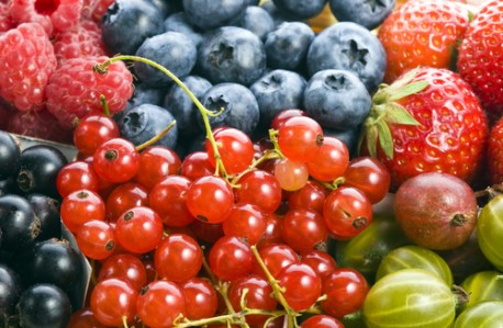 Bobičasto voće