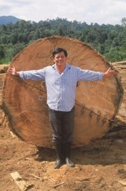 ilegalna sječa &scaron;uma