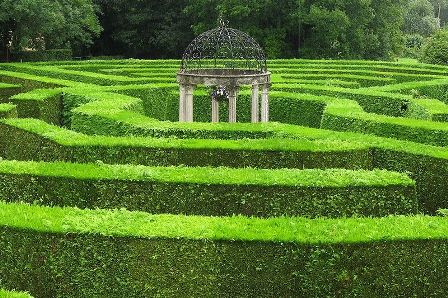 Hedge Maze