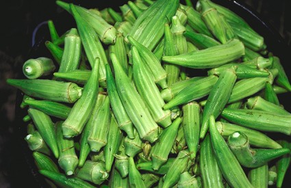 Okra