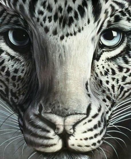 Genijalno! U čemu je fora?