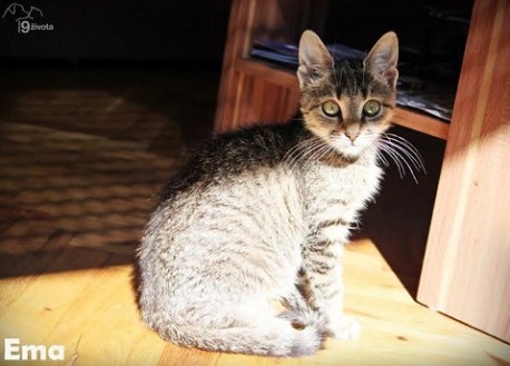 Ema je mazna i umiljata