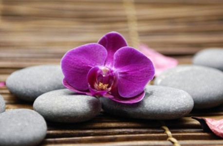 Orhideja donosi novu ljubav