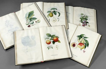 Traite des arbres fruiiers/Investopedia