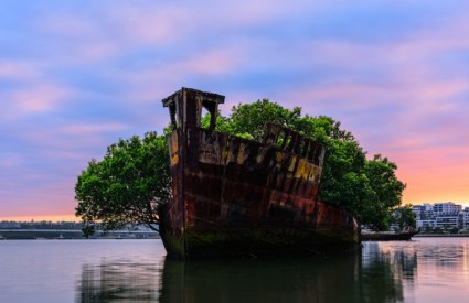 Plutajuća šuma, Sydney, Australija